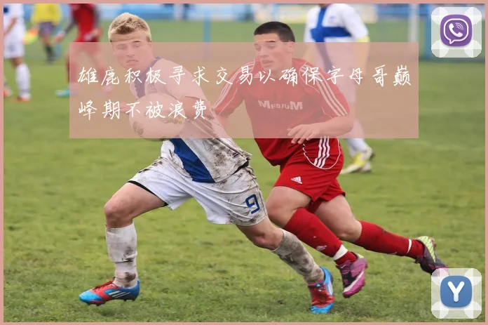 雄鹿积极寻求交易以确保字母哥巅峰期不被浪费